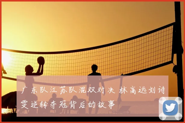 广东队江苏队混双对决 林高远刘诗雯逆转夺冠背后的故事