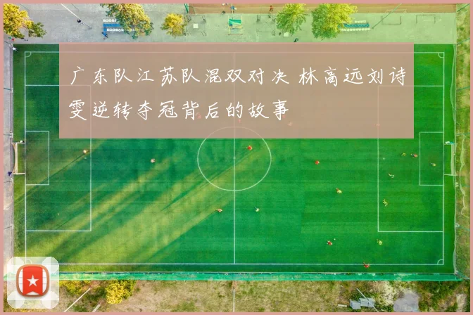 广东队江苏队混双对决 林高远刘诗雯逆转夺冠背后的故事