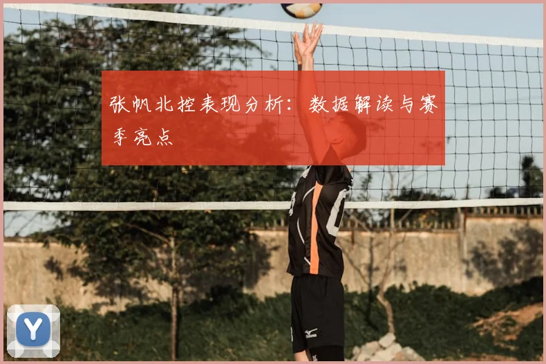 张帆北控表现分析：数据解读与赛季亮点