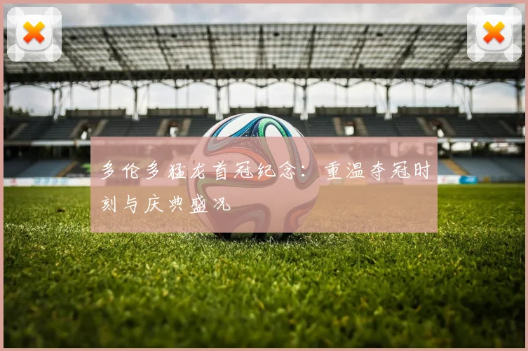 多伦多猛龙首冠纪念：重温夺冠时刻与庆典盛况