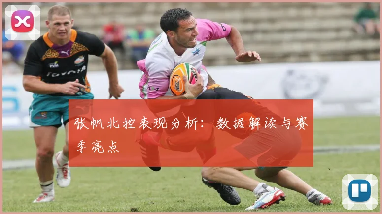 张帆北控表现分析：数据解读与赛季亮点