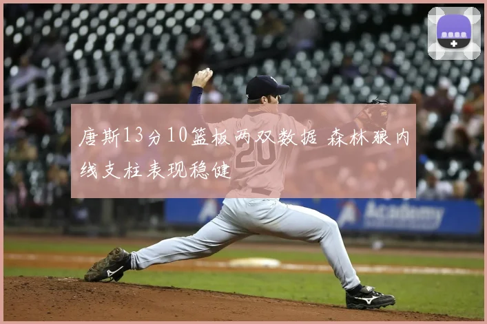 唐斯13分10篮板两双数据 森林狼内线支柱表现稳健